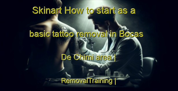 Skinart How to start as a basic tattoo removal in Bocas De Chimi area | RemovalTraining | RemovalClasses | SkinartTraining-Colombia